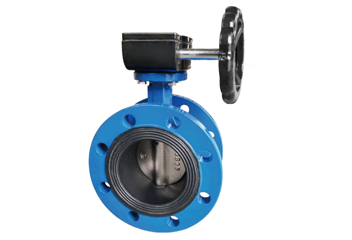 Double Flange Type Butterfly Valve